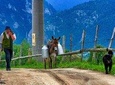4x4 tour in the Carpathian Mountains, Transylvania and Dracula's Castle