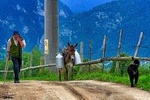 4x4 tour in the Carpathian Mountains, Transylvania and Dracula's Castle