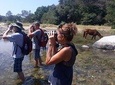 Horses and Hot Springs Tour