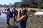 Horses and Hot Springs Tour