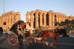 Luxor City Tour By Horse Carriage