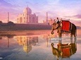 Priavte - City Tour of Agra