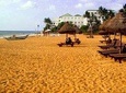 Shore Excursion Colombo Port to Mount Lavinia Beach & Colombo city For 4 - 6 Pax
