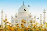Private Full Day Taj Mahal & Agra Tour By Gatimaan Train