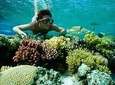Full Day Snorkeling Trip to the Red Sea in Safaga from Luxor