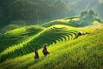 Sapa Trekking 3Day - 2 Night By Sleeper Bus