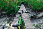 Kuta Beach E-Bike Half Day Tour 