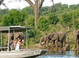 Chobe Full Day Trip