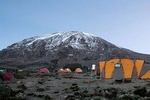 7 Days Lemosho Route - Climb Mount Kilimanjaro