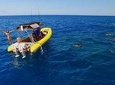 6-Hour Lanai Snorkel Dolphin Extended Tour from Lahaina Harbor