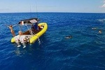 6-Hour Lanai Snorkel Dolphin Extended Tour from Lahaina Harbor