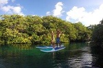 Cenote Paddleboarding and Snorkeling in Tulum