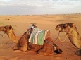  Desert Trip from Fes to Fes via Merzougua (2days, 1night)