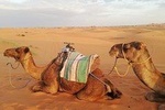  Desert Trip from Fes to Fes via Merzougua (2days, 1night)