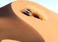 Liwa Safari The Most Adrenaline & Extreme 4WD & Off Road Tours in Abu Dhabi