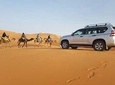 14 Days the authentic of Morocco Cities & desert tours from Casablanca or other