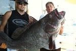 Private 8-Hour Big Game Deep Sea Fishing Charter in Fort Lauderdale