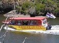 Kalgan Queen Scenic Cruises a four hour sheltered water wildlife tour daily fun.