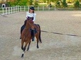 Horse Riding Lessons at the Heart of the Rose Valley