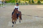 Horse Riding Lessons at the Heart of the Rose Valley