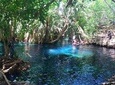 Kikuletwa Hot Spring Day Tour