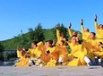 Luoyang Private Day Trip to Shaolin Temple with Flexiable Departure Time