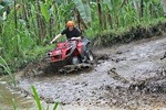 Ubud Jungle Quad Bike Adventure