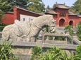Private Day Tour to Longmen Grottoes, Luoyang Museum and White Horse Temple