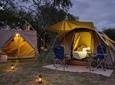 Tented Pilanesberg safari 2-Day from Johannesburg R3990