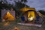 Tented Pilanesberg safari 2-Day from Johannesburg R3990