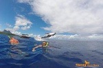 Whale Watching Tours in Bora Bora