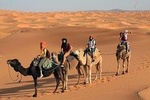 3 days morocco desert trip from Marrakech, Camel ride & Overnight in desert camp