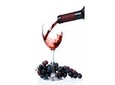 Wine tasting Apicella winery with rich buffet