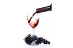Wine tasting Apicella winery with rich buffet