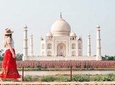 Half Day : Taj Mahal and Agra Fort Tour from Agra