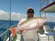4-Hour Day or Night-Time Reef Bottom Fishing Charter in Fort Lauderdale