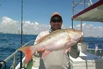 4-Hour Day or Night-Time Reef Bottom Fishing Charter in Fort Lauderdale
