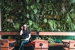 Private Photo Walk in Los Angeles - with Personal Photographer and Color Stylist