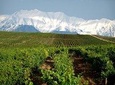 Private Wine Tour in Azerbaijan
