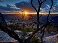 Ultimate Blue Mountains and Wildlife Tour