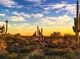 2-Hour Arizona Desert Guided E-Bike Tour
