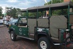 Full Day Zambezi National Park Golden Safari