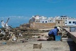 Day trip from Marrakech to Essaouira Mogador and the Portuguese fortress