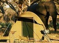 Chobe Camping 1day & 1night