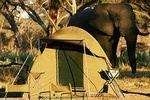Chobe Camping 1day & 1night