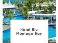  Private Sanster international Airport Transfers To Riu Hotel Montego 