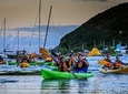 Bioluminescent Bay Night Kayaking & Rainforest Combo Tour 