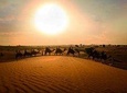 Dubai Sunset Camel Trekking With BBQ Dinner