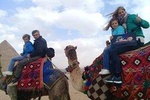Camel or Horse Riding at The Giza Pyramids Area
