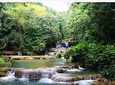 Ys Falls Private Tour